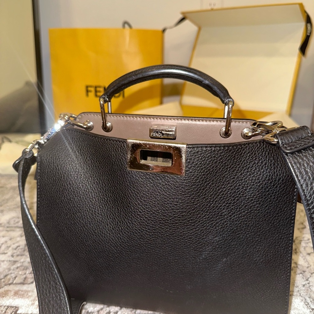 Fendi Peekaboo ISeeU Mini Bag